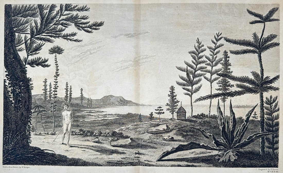 William Hodges – Landscape Study of the Island of Pines – Engraving (18th Century) (1 of 2)