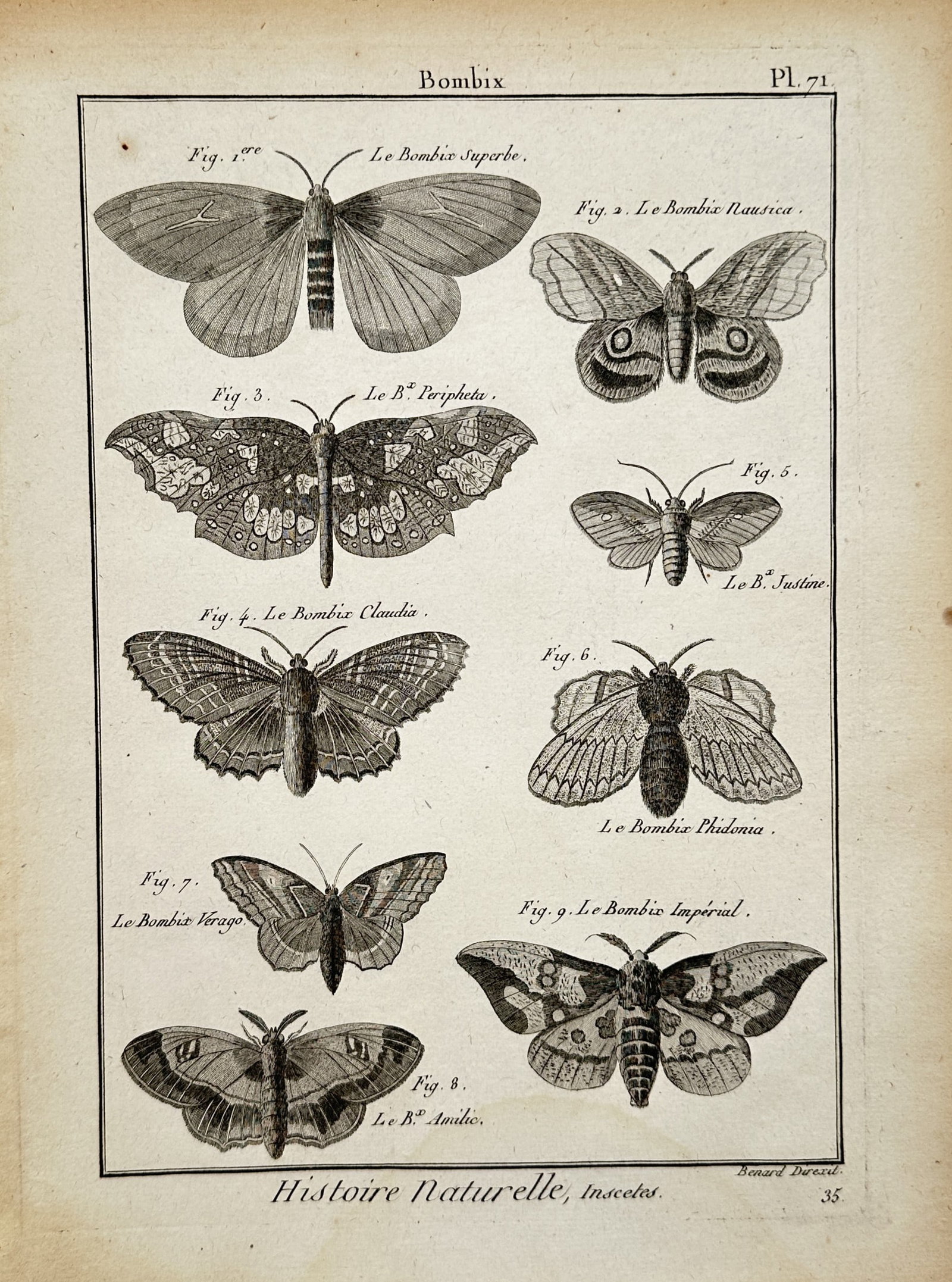 Robert Benard – Entomological Study of Exotic Moths – Engraving (1791) (1 of 2)
