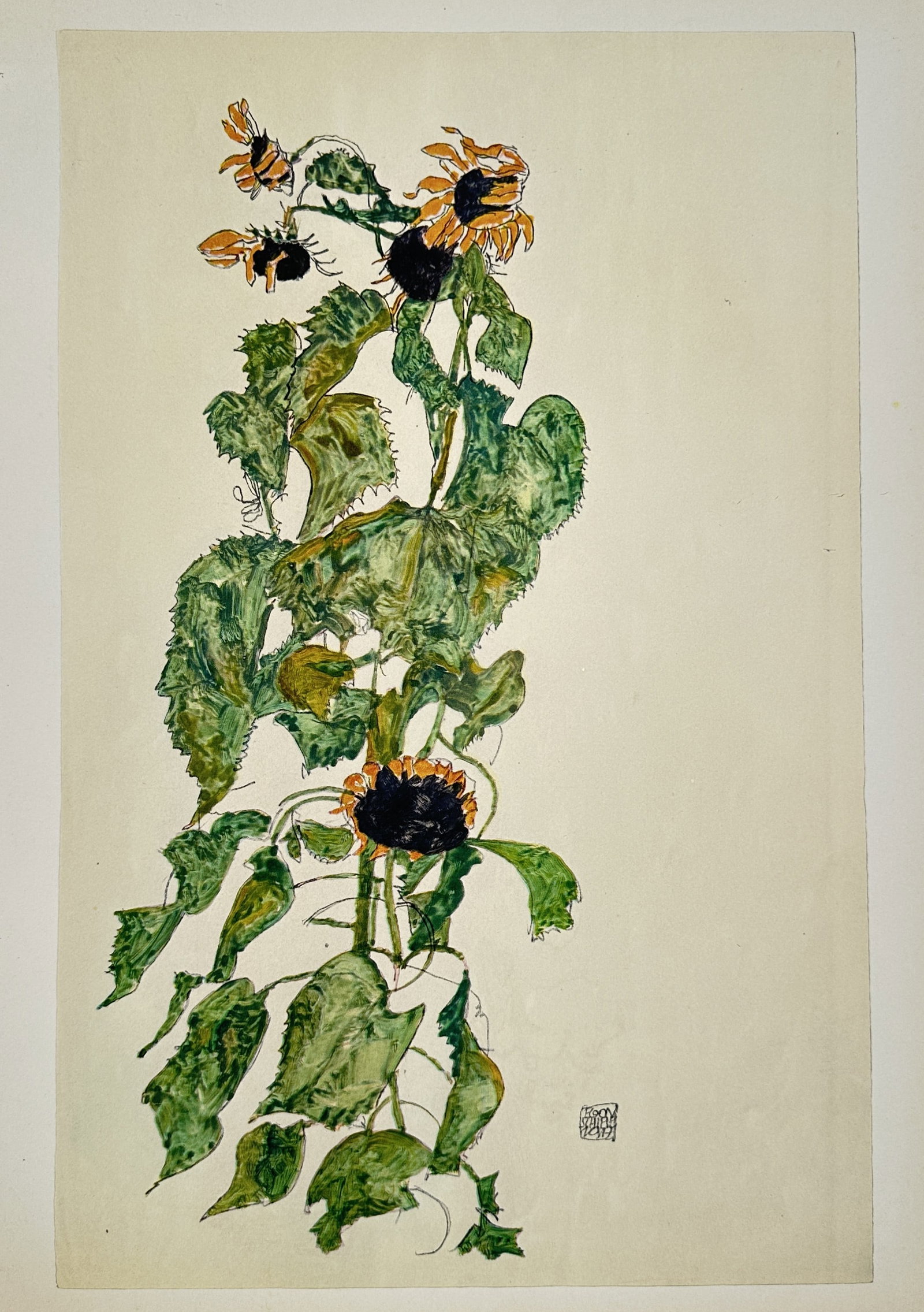 Egon Schiele,after – Sunflower Botanical Study – Offset lithograph (20th Century): "Sunflower Botanical Study" presents an Expressionist botanical study depicting wilting sunflowers with vibrant green leaves and dark seed heads. Published during the twentieth century, the print docu