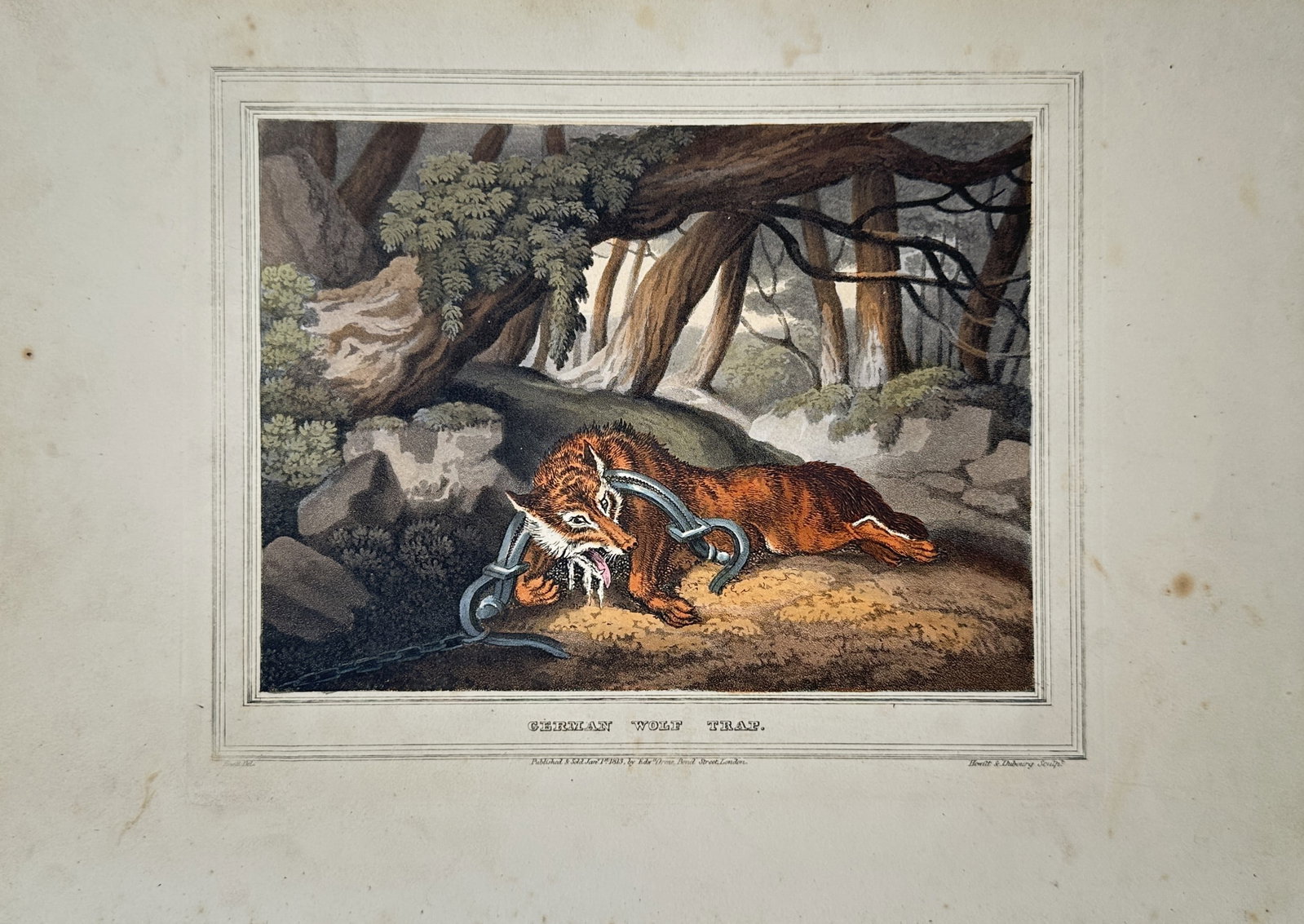 Samuel Howitt – German Wolf Trap – Aquatint (1813) (1 of 2)