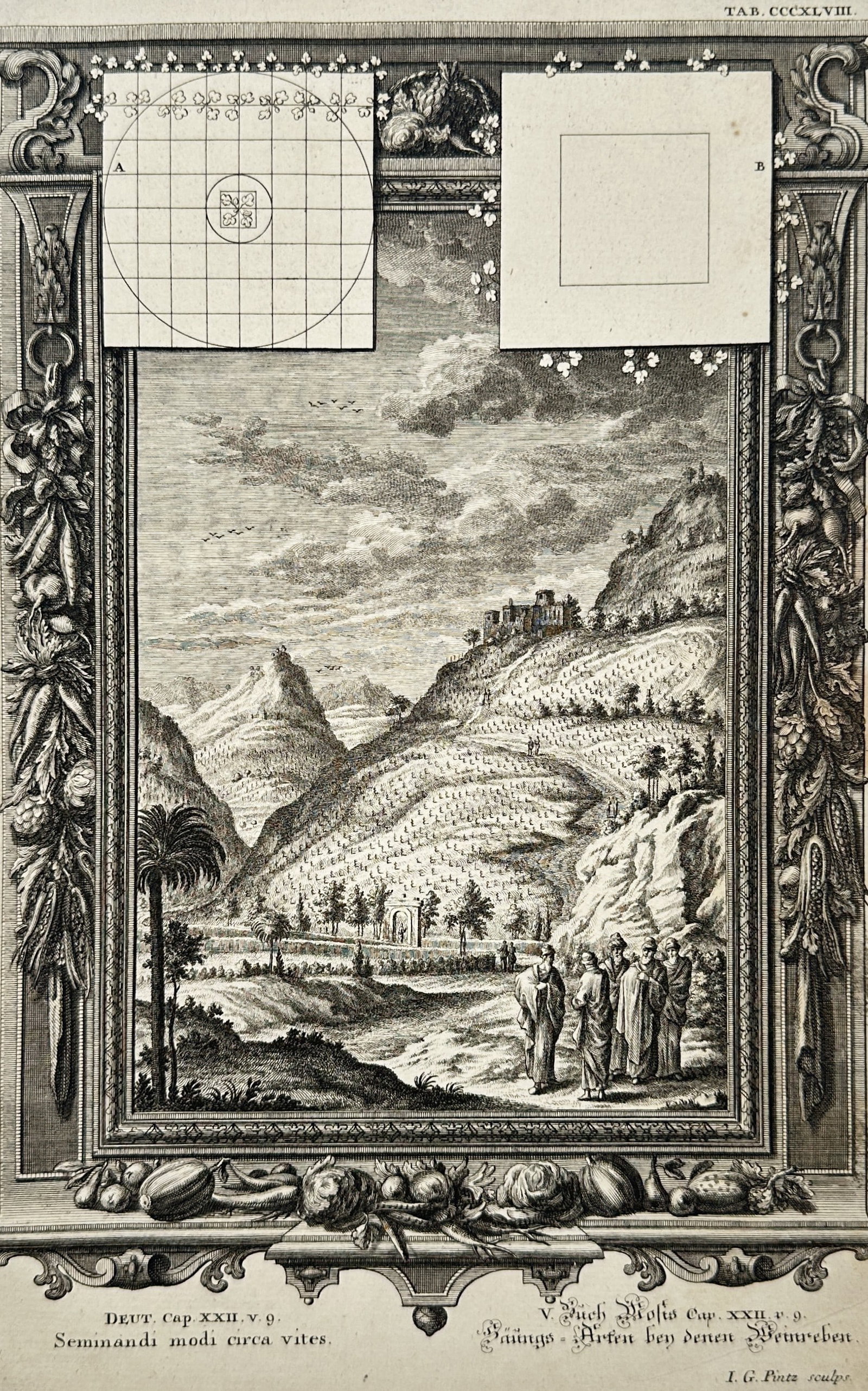 Johann Jakob Scheuchzer – Vineyard Sowing Methods – Engraving (18th Century) (1 of 3)