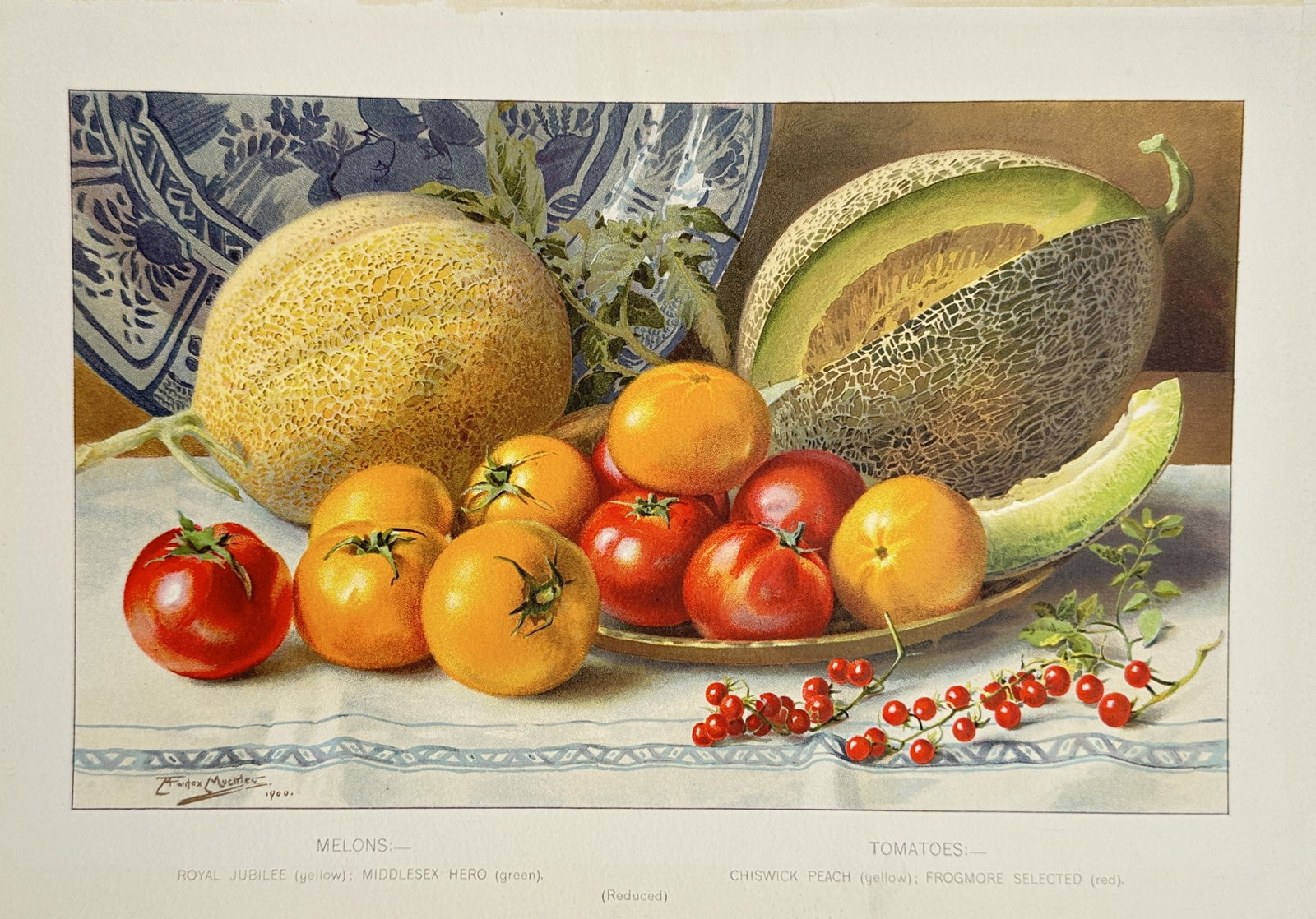 Louis Fairfax Muckley – Melons and Tomatoes Botanical Still Life – Lithograph (1900): "Melons and Tomatoes" presents a botanical still life study illustrating whole and sliced melon varieties, yellow and red tomatoes, and small red currents arranged on a tabletop beside a decorative ce