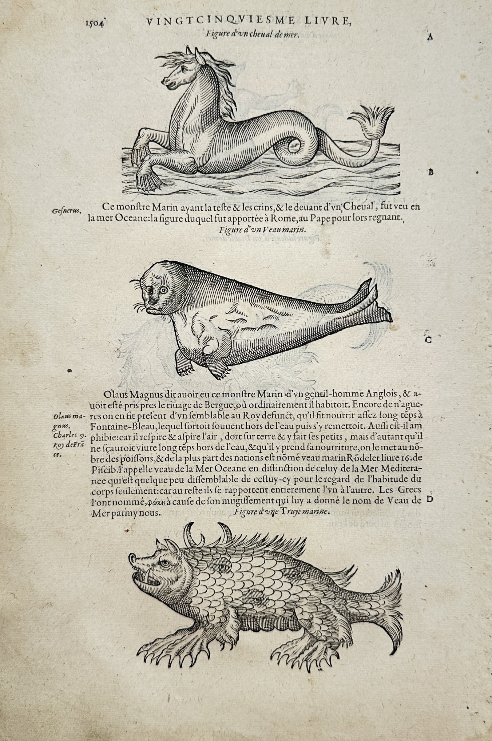 Ambroise Paré – Figures of a Sea Horse, Sea Calf, and Sea Sow – Engraving (16th Century) (1 of 2)