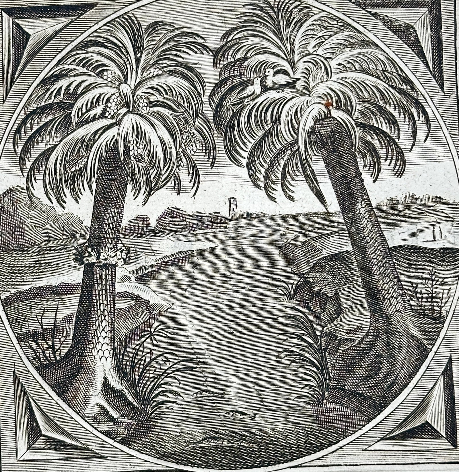 Jacob Cats – Live in Concord Palm Trees Emblem – Engraving (17th Century): "Live in Concord" presents a circular allegorical emblem displaying two leaning palm trees growing on opposing banks of a winding river with a pair of nesting birds in the foliage. The emblem illustra