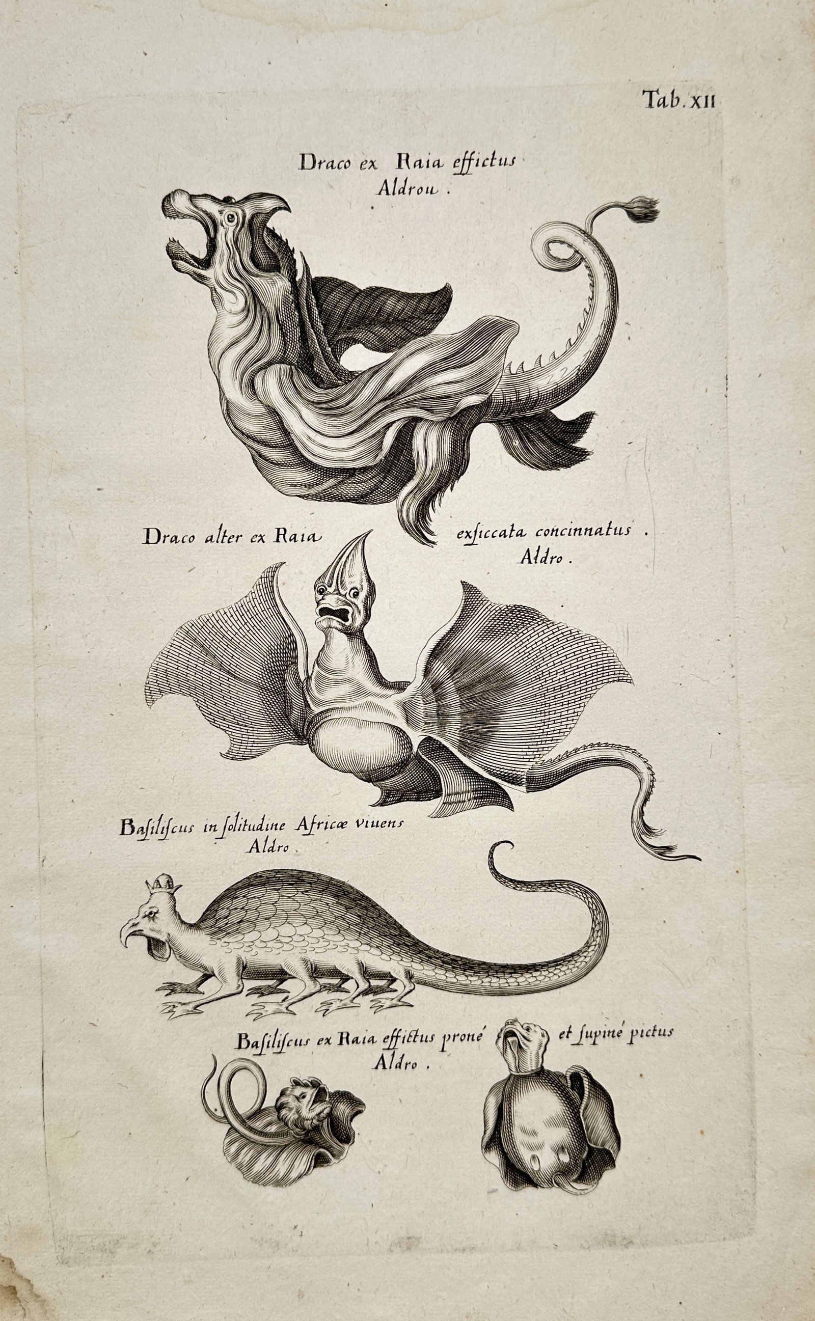 John Jonston – Dragons and Basilisks Monstrous Creatures – Engraving (17th Century) (1 of 2)