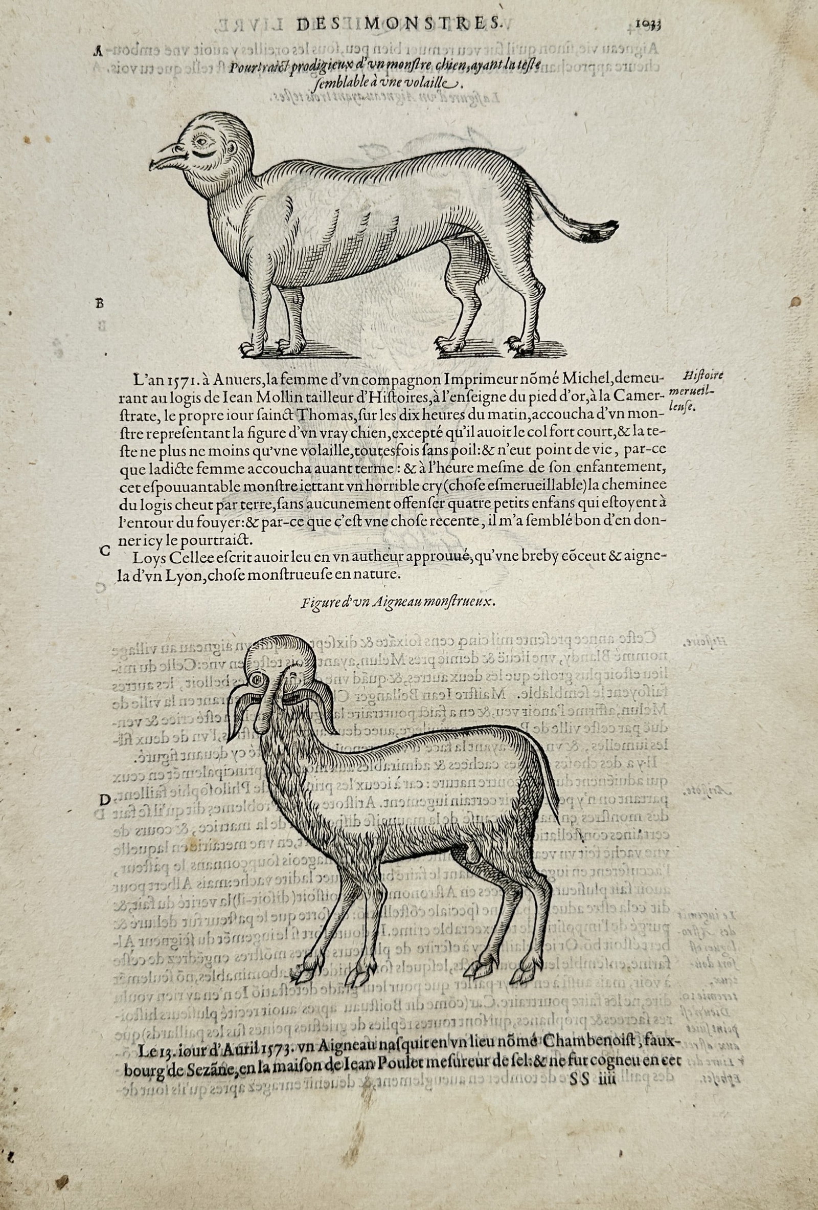 Ambroise Paré – Monstrous Dog and Monstrous Lamb Teratological Study – Engraving (1 of 2)