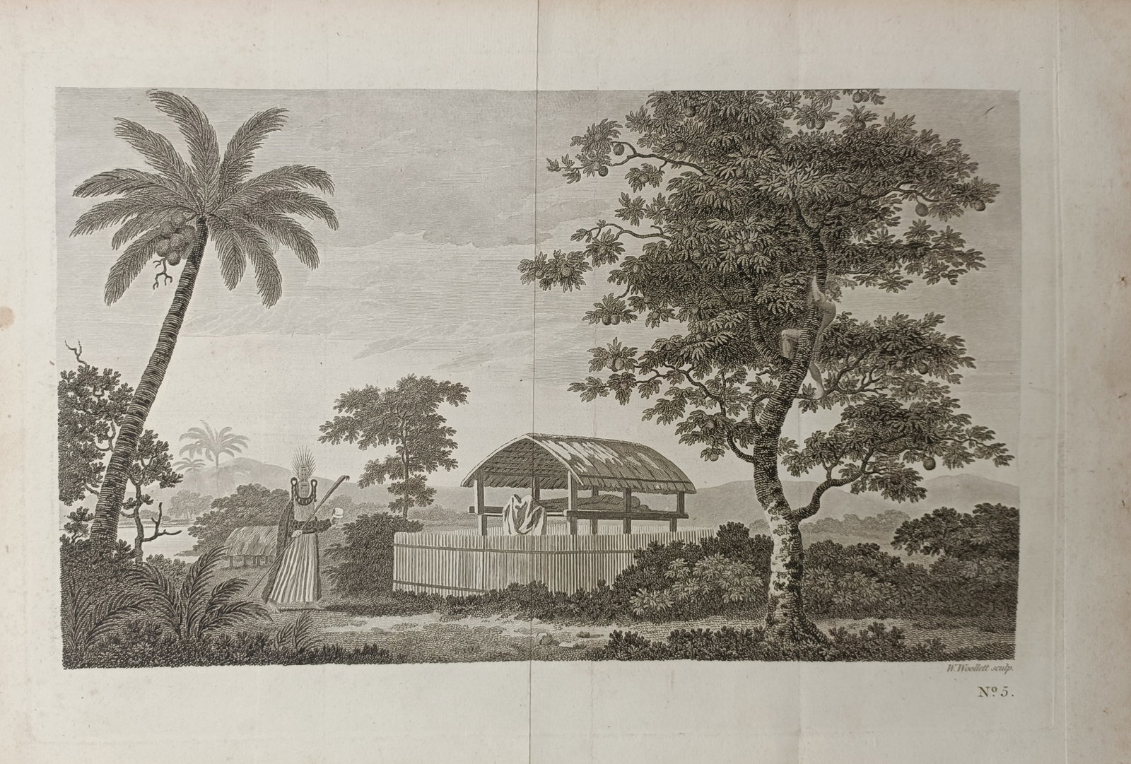 John Hawkesworth – Tahitian Burial Structure and Chief Mourner – Engraving (1773): "Tahitian Burial Structure and Chief Mourner" depicts an ethnographic landscape featuring a traditional thatched burial shelter enclosed by fencing beside native tropical trees and a figure in ceremon