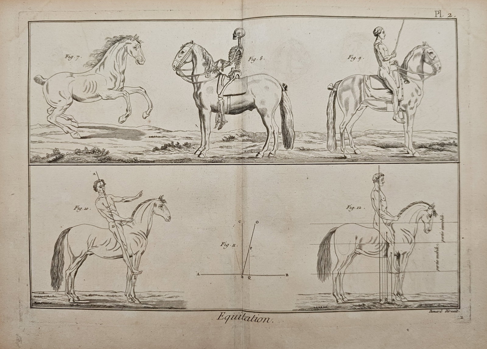 Robert Benard – Equitation and Equestrian Anatomy Studies – Engraving (18th Century) (1 of 2)