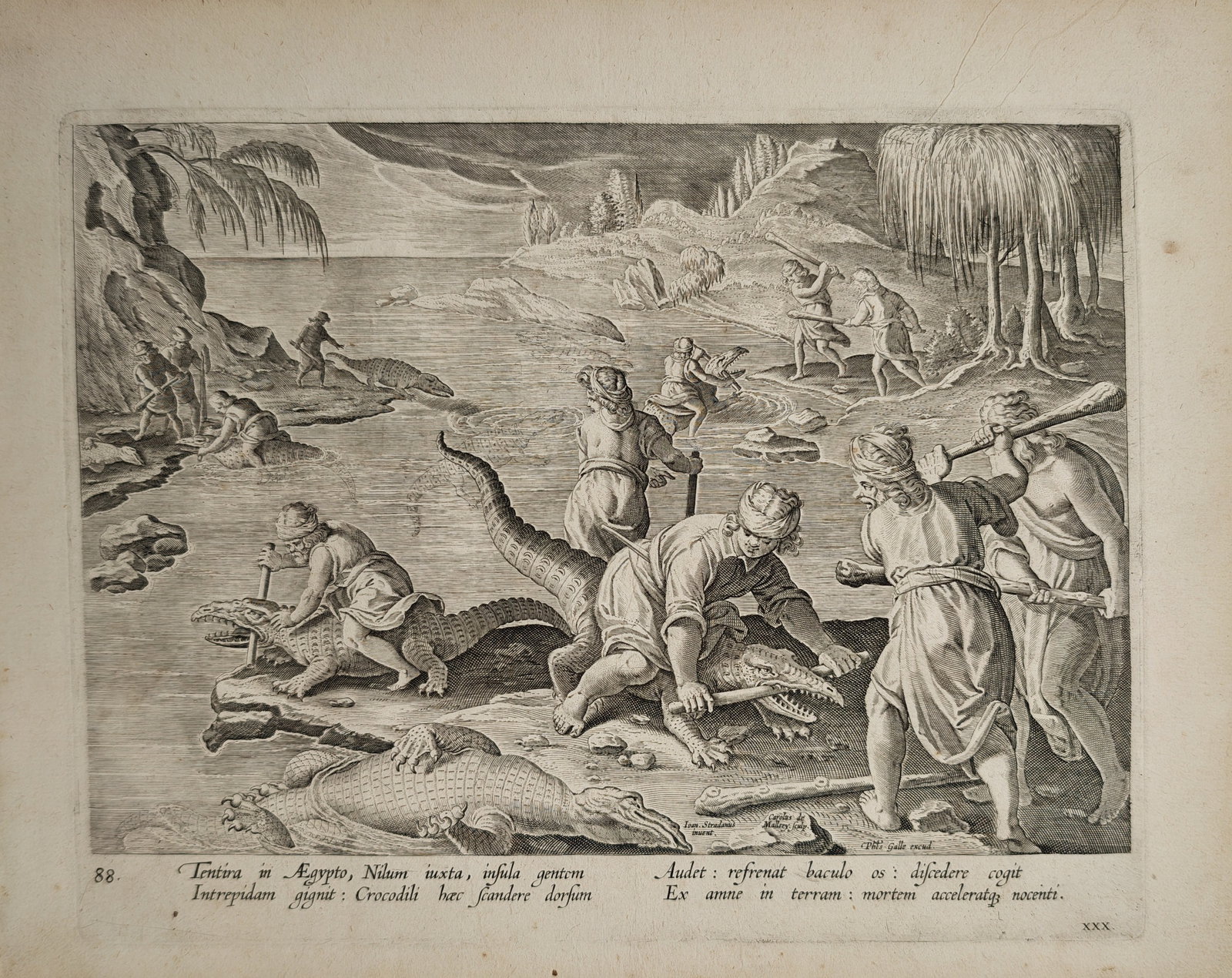 Philip Galle – Crocodile Hunt on the Nile by the Tentyrites – Engraving (16th Century): "Tentyra in Egypt, an Island near the Nile, Produces an Intrepid People" presents a dramatic hunting scene depicting the inhabitants of Tentyra subduing and capturing large Nile crocodiles using woode