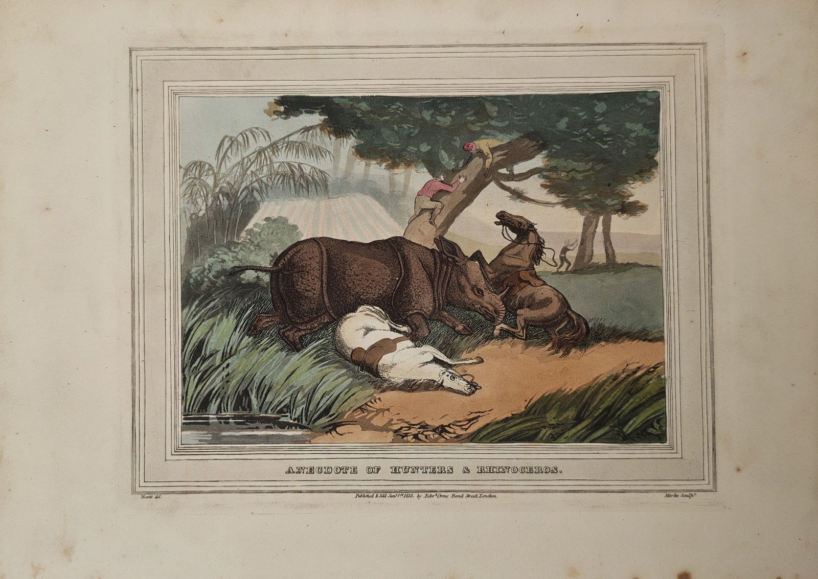 Samuel Howitt – Anecdote of Hunters and a Rhinoceros – Aquatint (1813): "Anecdote of Hunters and a Rhinoceros" portrays a chaotic sporting expedition where a large rhinoceros charges a party of hunters, causing a horse to fall and forcing the men to scramble up a leaning 