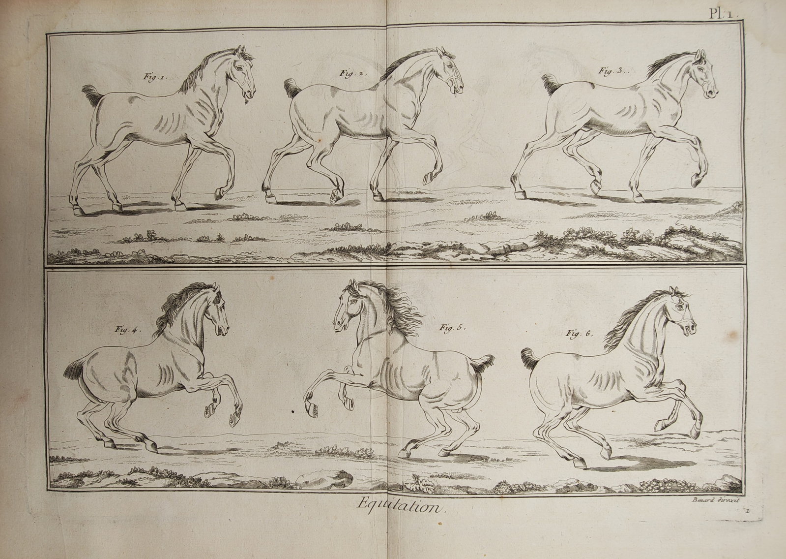 Robert Bénard – Equestrian Studies on Equine Gaits and Movements – Engraving (18th Century) (1 of 2)
