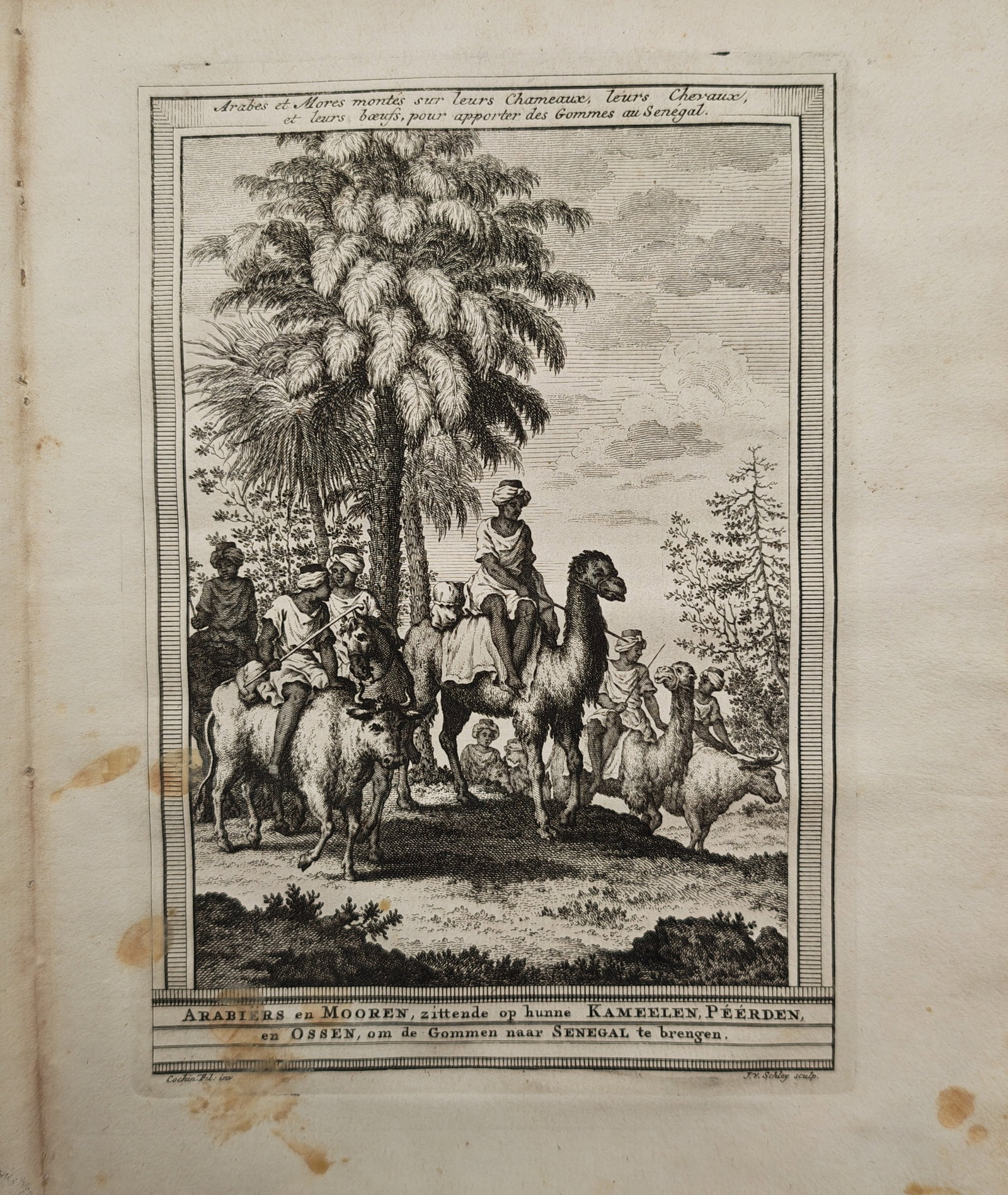 Jacob van der Schley – Arabs and Moors Transporting Gum to Senegal on Camels, Horses, and Oxen: "Arabs and Moors Mounted on Their Camels, Horses, and Oxen to Bring Gum to Senegal" presents an eighteenth-century ethnographic and historical view depicting merchants with pack animals gathered benea