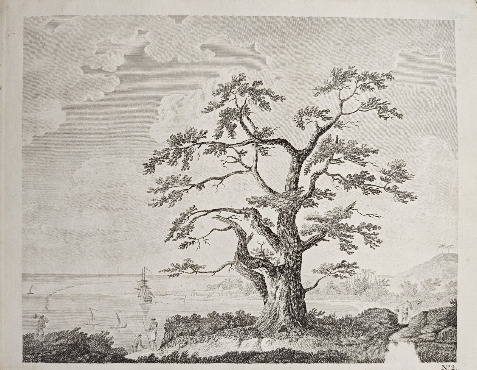 Sydney Parkinson – Coastal Landscape with Large Tree and Ships – Engraving (18th Century) (1 of 2)