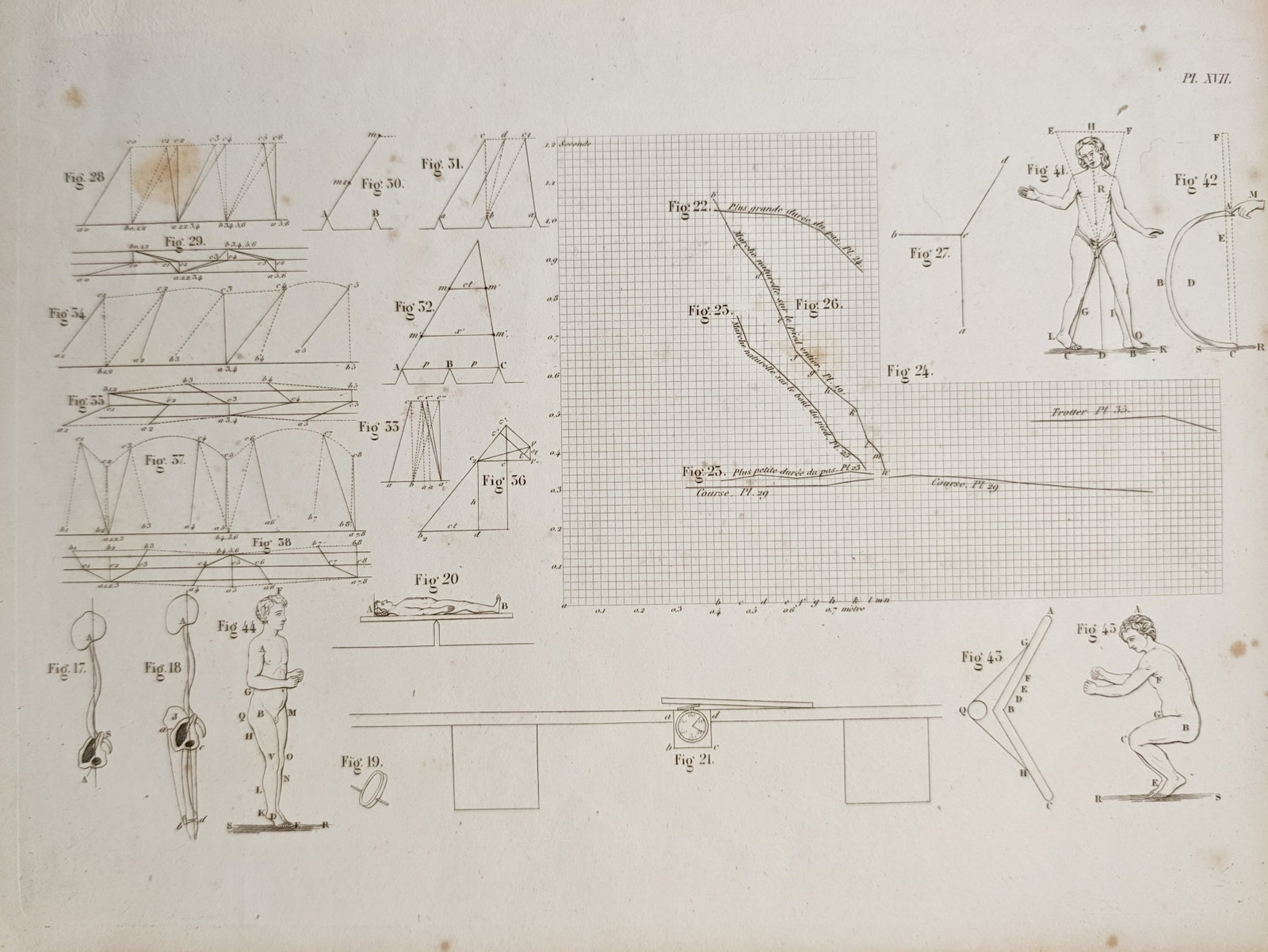 Wilhelm Weber – Studies on the Mechanics of Human Locomotion – Engraving (19th Century): "Studies on the Mechanics of Human Locomotion" presents a pioneering biomechanical study analyzing the kinematics of walking, body posture, and physical movement through geometric diagrams and coordin