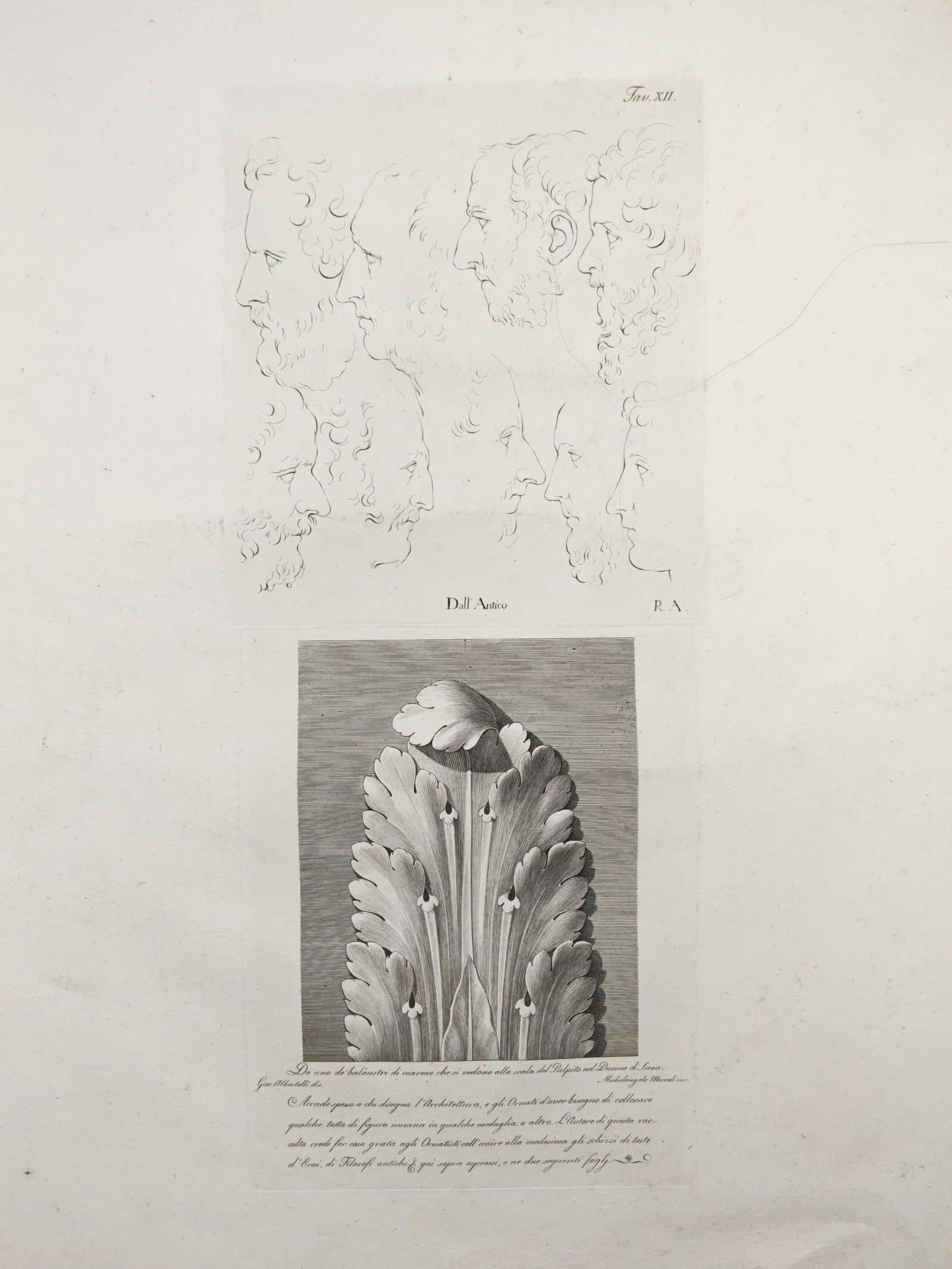 Giocondo Albertoli – Classical Head Studies and Acanthus Leaf Ornament – Engraving (1 of 2)