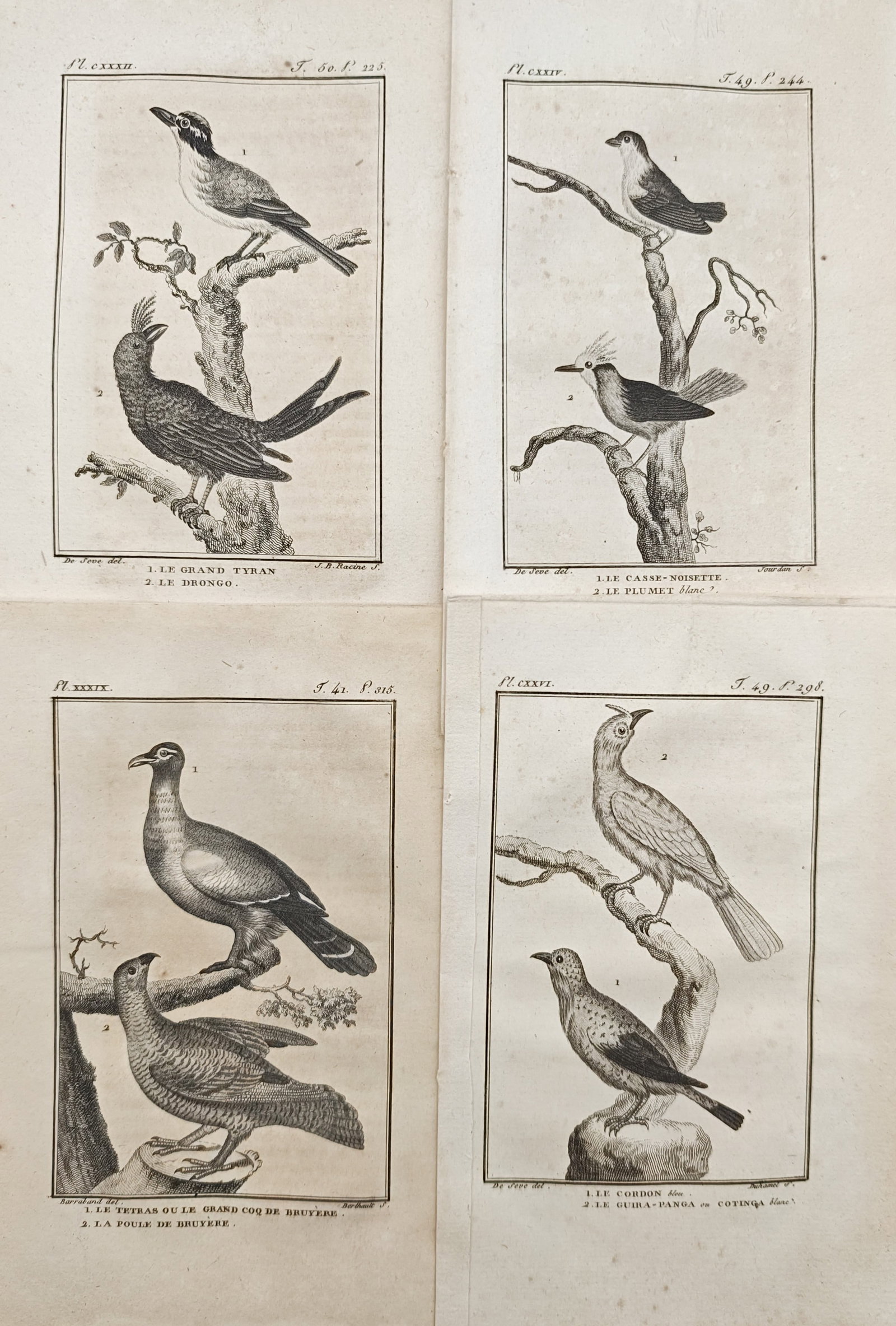 Georges-Louis Leclerc, Comte de Buffon – Set of 4: Tyrants, Nutcrackers, and Woodland Grouse (1 of 2)