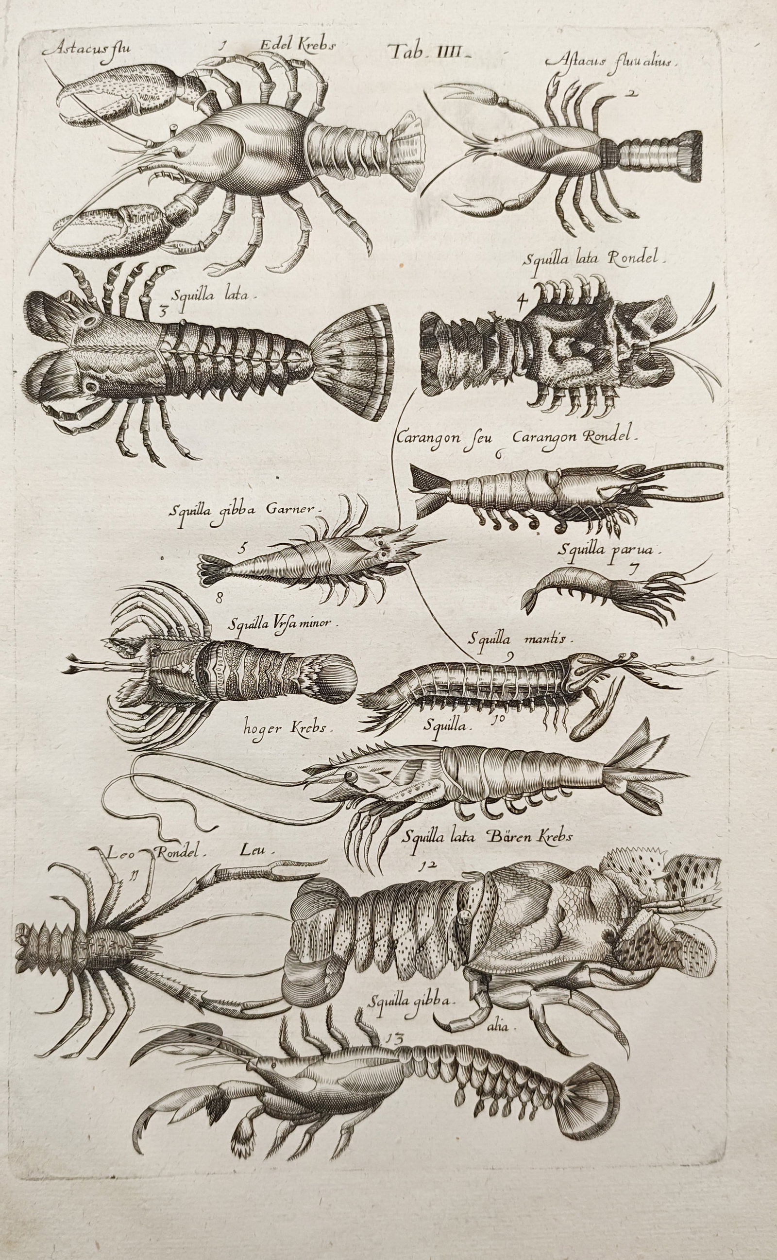 John Jonston – Crayfish and Crustaceans – Engraving (1650–1653) (1 of 2)