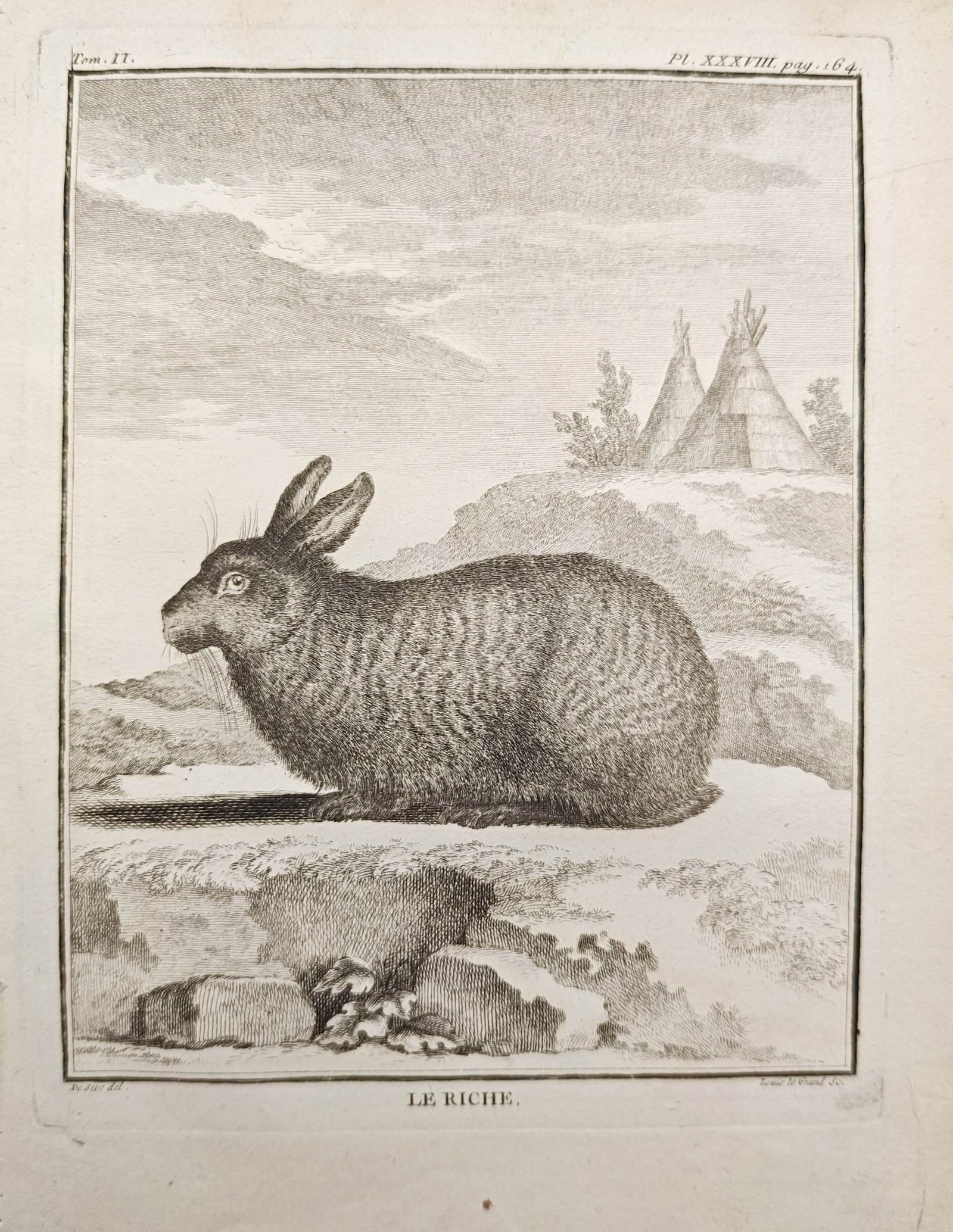 Georges-Louis Leclerc de Buffon – The Riche Rabbit – Engraving (18th Century): "The Riche Rabbit" depicts a domesticated rabbit seated in full profile upon a rocky, stepped terrain against an open landscape featuring distant tipis and rolling hills. Dating to the 18th century, t