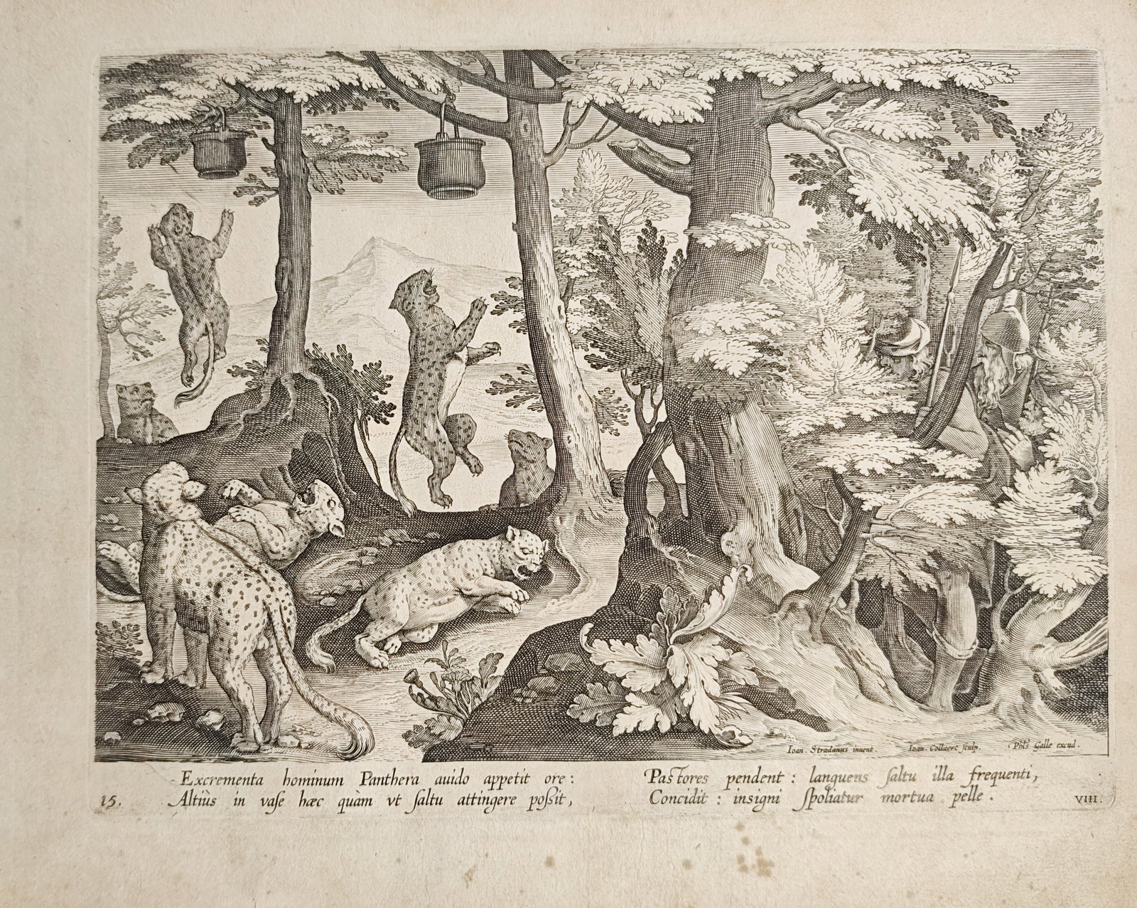 Jan van der Straet – Panther Hunting with Suspended Bait – Engraving (16th Century) (1 of 2)