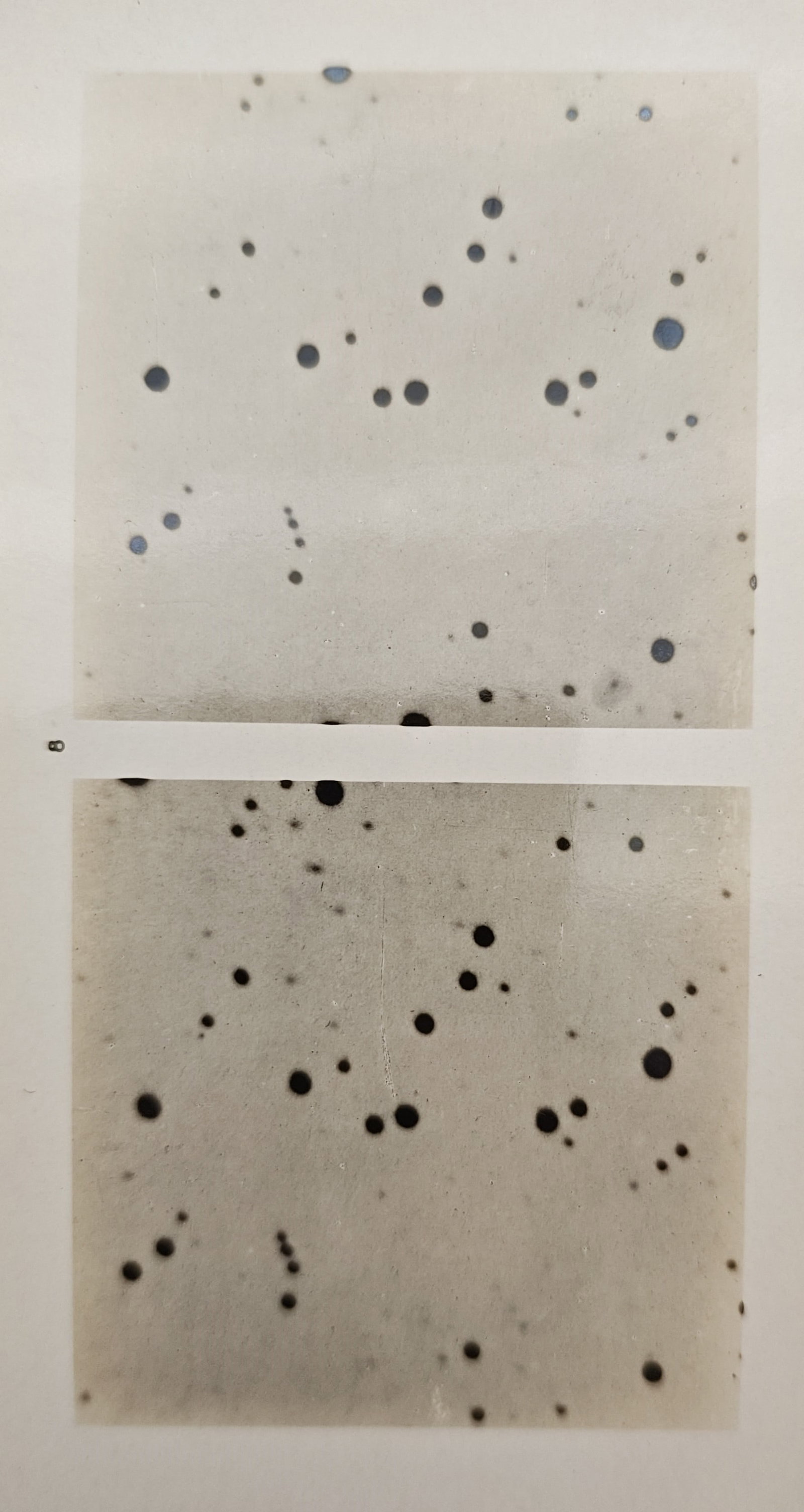 Unknown Artist – Stereoscopic Study of a Star Field – Lithograph (20th Century) (1 of 2)