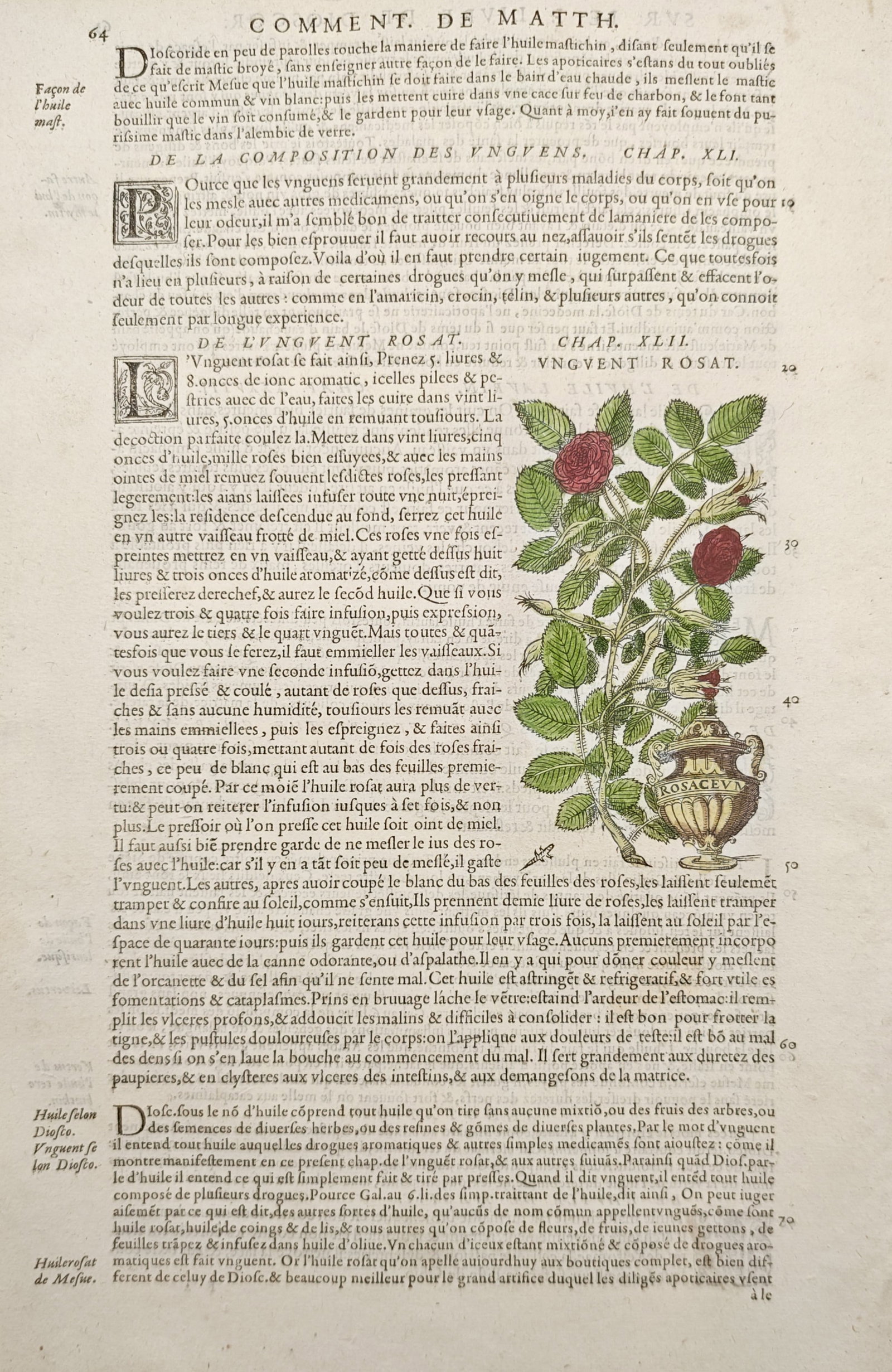 Pietro Andrea Mattioli – Botanical and Pharmacological Study of Rose Ointment – Woodcut (1 of 2)