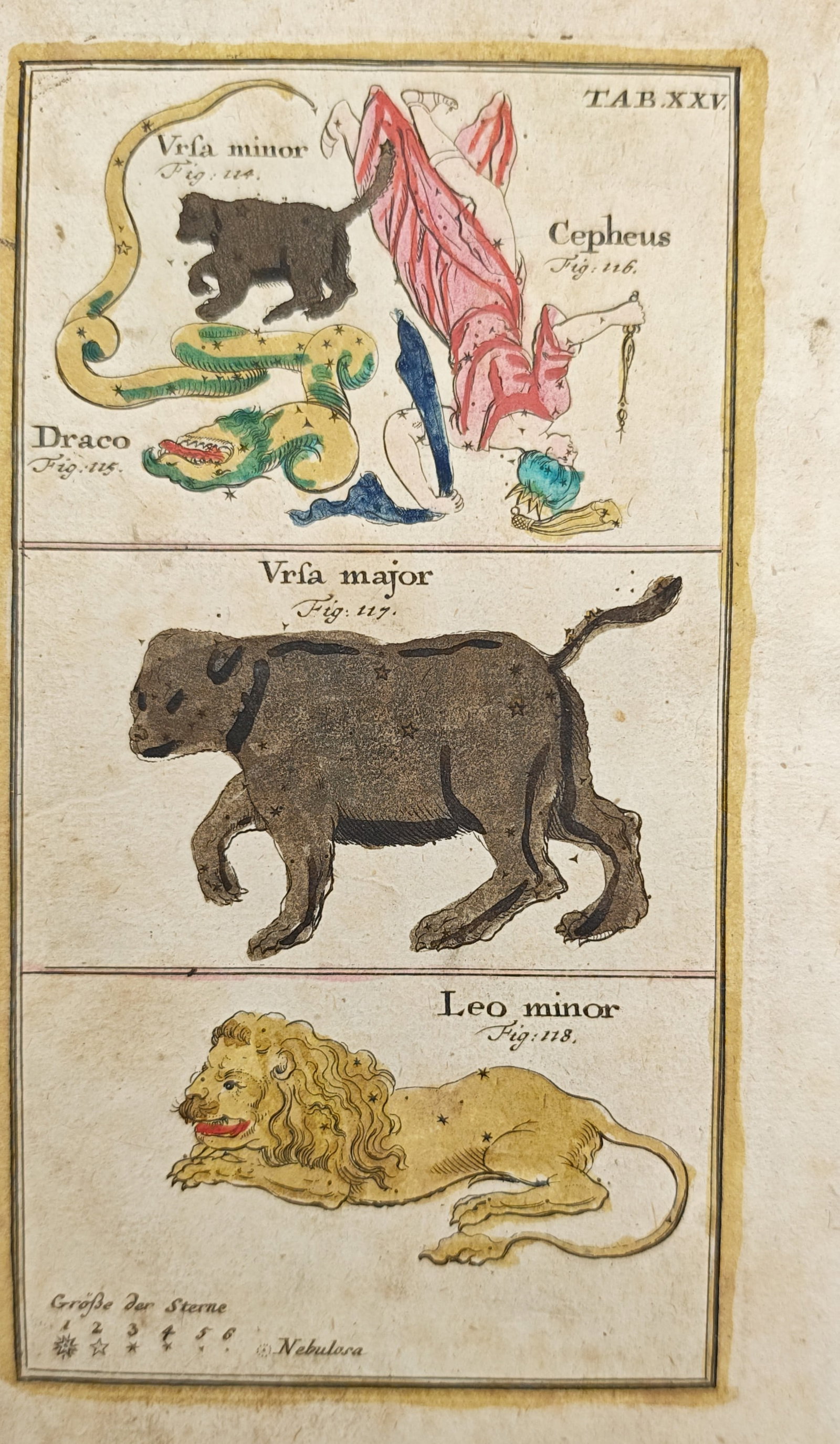 Johann Leonhard Rost – Ursa Major, Ursa Minor, Draco, Cepheus, and Leo Minor Constellations: "Ursa Minor, Draco, Cepheus, Ursa Major, Leo Minor" illustrates the mythological personifications and celestial forms of circumpolar and northern constellations, including the Great and Little Bears, 