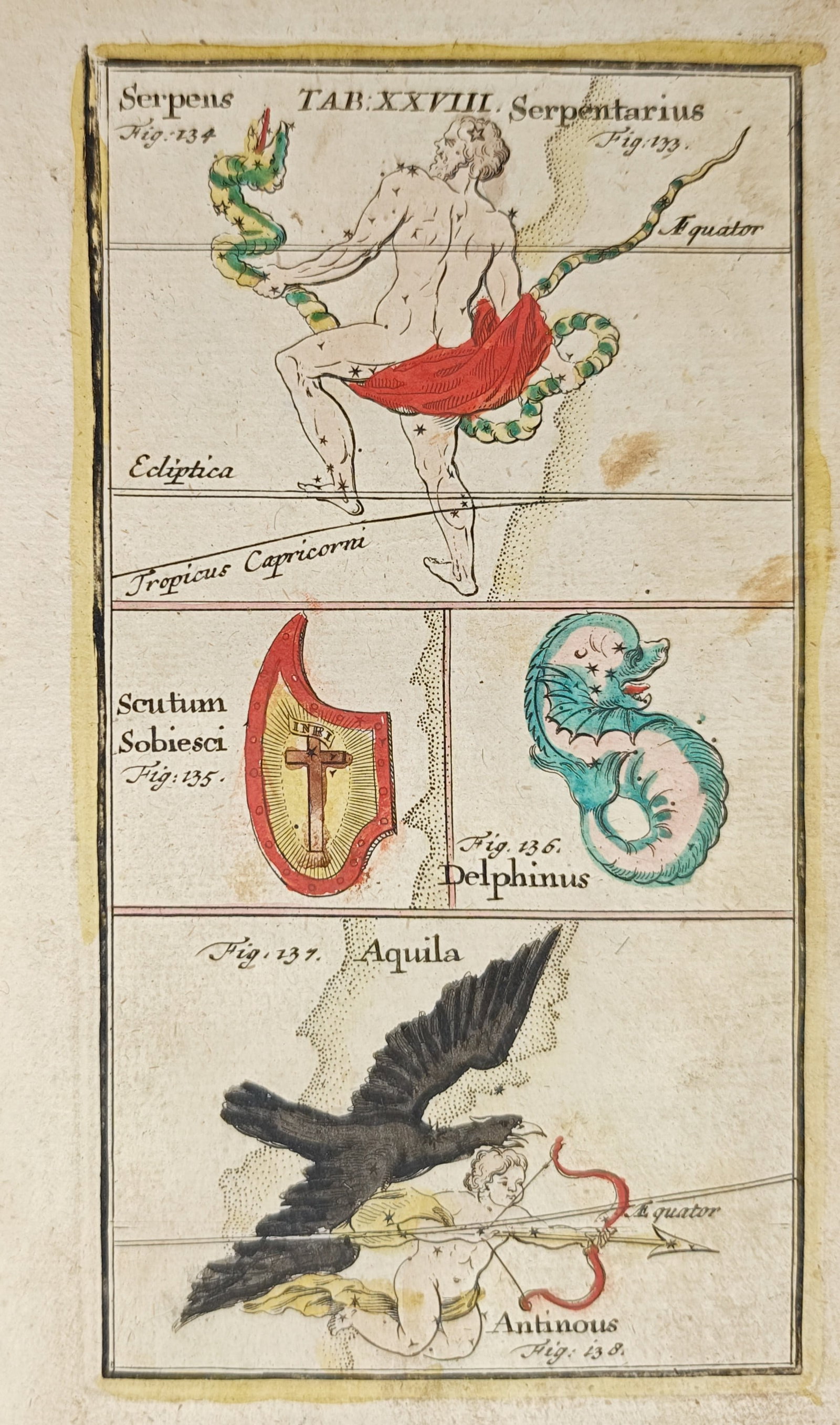 Johann Leonhard Rost – Serpentarius, Scutum Sobieski, Delphinus, Aquila (1 of 2)