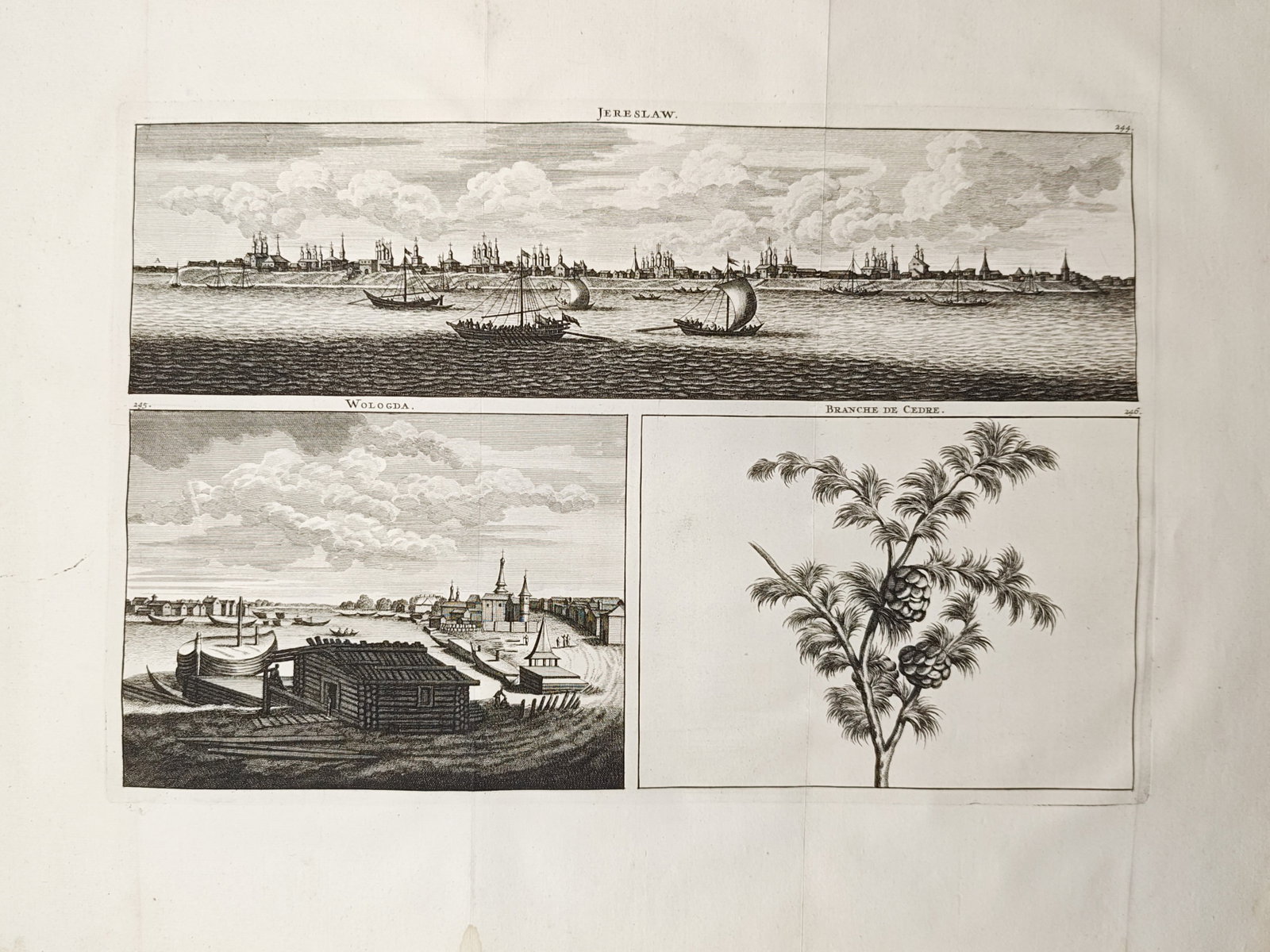Cornelis de Bruyn – Views of Yaroslavl, Vologda, and Pine Branch Study – Engraving (18th (1 of 2)