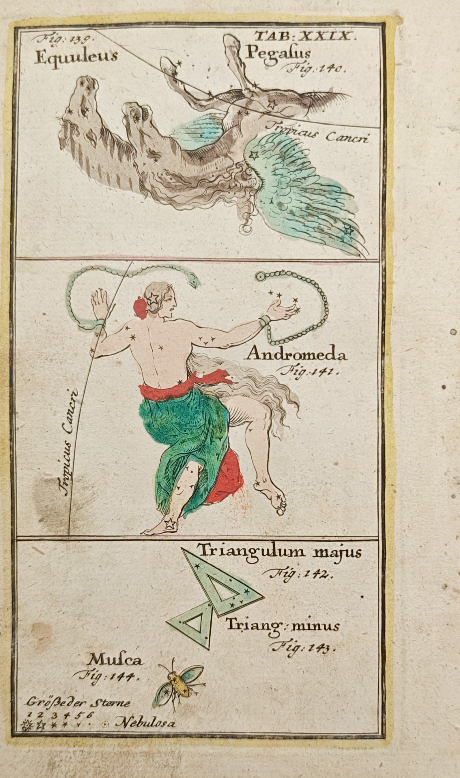 Johann Leonhard Rost – Constellations of Pegasus, Andromeda, Triangulum – Engraving (1 of 2)