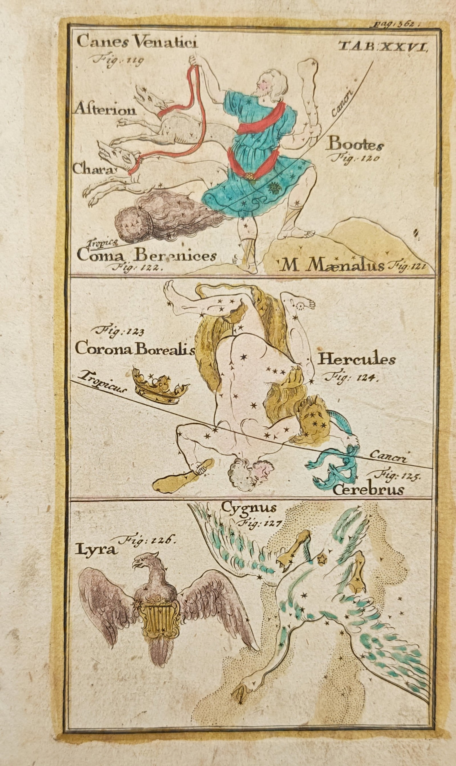 Johann Leonhard Rost – Constellations of Bootes, Hercules, Lyra, and Cygnus – Engraving (1 of 2)