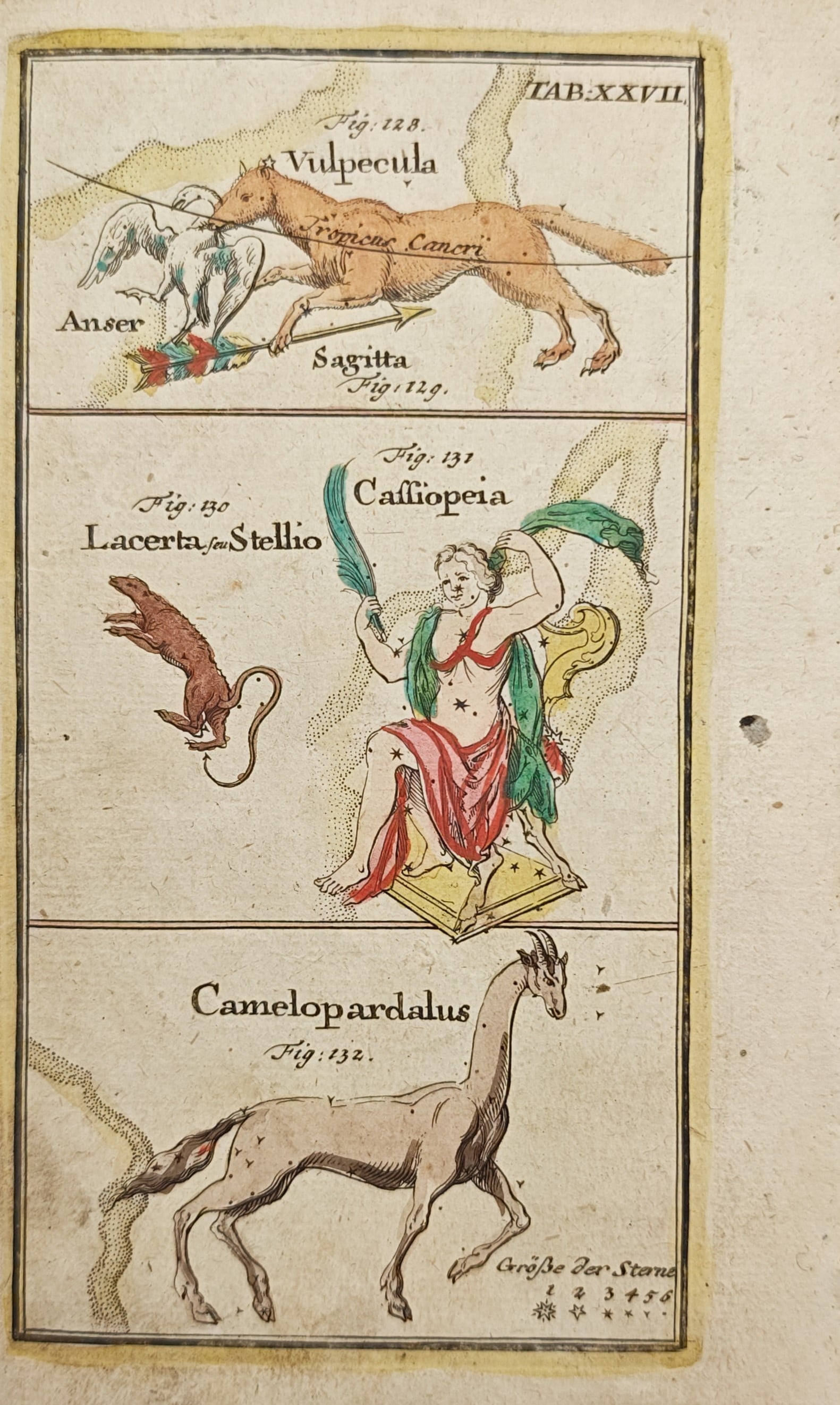 Johann Leonhard Rost – Constellations of Vulpecula, Cassiopeia, and Camelopardalis – Engraving: "Constellations of Vulpecula, Cassiopeia, and Camelopardalis" presents a celestial chart illustrating mythological figures, celestial fauna, and starry allegories enhanced with vivid hand-colored deta