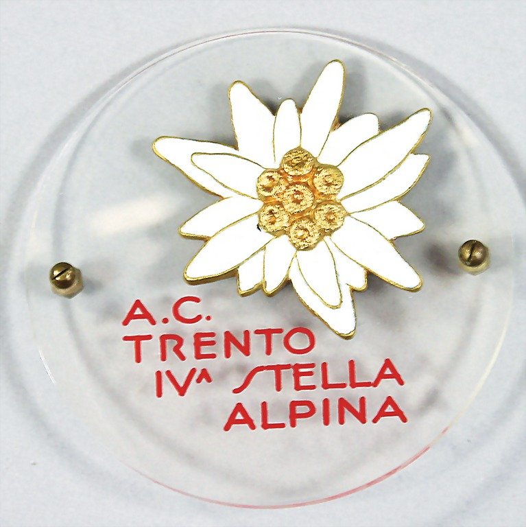 A.C.TRENTO, Perspex badge, with enamel applicatio: A.C.TRENTO, Perspex badge, with enamel application IV. Stella Alpina, year?, (7 cm in diameter), good condition German Description A.C.TRENTO Plexiglas-Plakette, mit Emaille-Applikation IV. Stella Alp