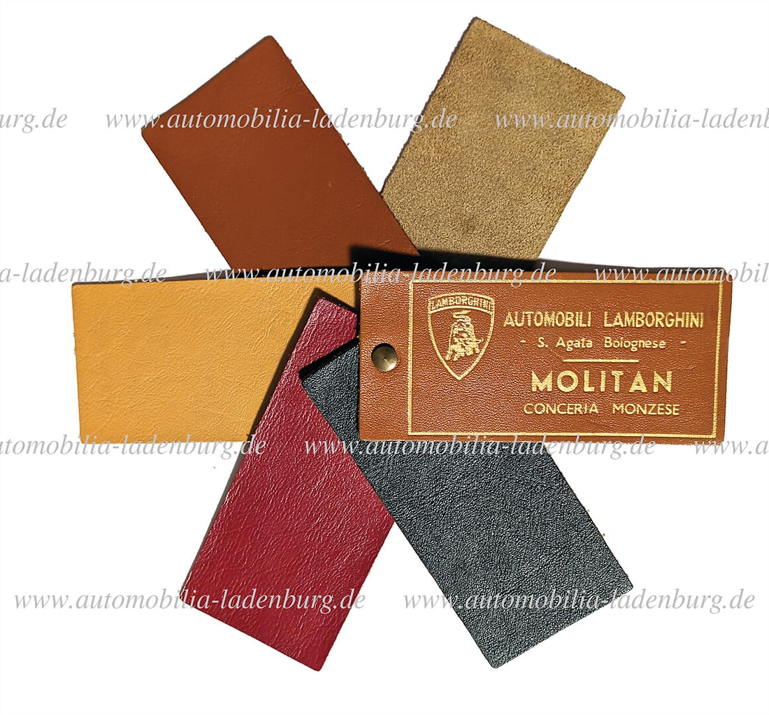 LAMBORGHINI Riviera leather pattern "Cuoio Franzi", with a total of 4 rare leather patterns Molitan (1 of 1)