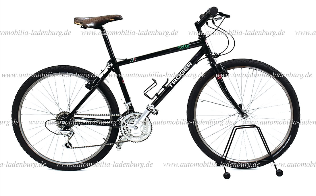 TROGER Troger mountain bike, with complete Campagnolo equipment, frame height 41cm - exceptionally (1 of 10)
