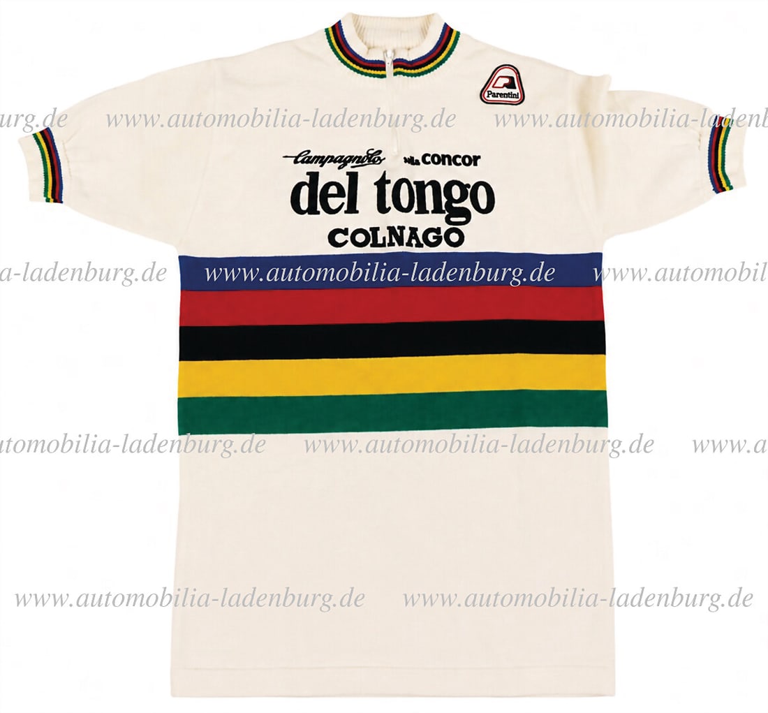 DEL TONGO / COLNAGO Original Del Tongo-Colnago jersey (unknown manufacturer), size 3, missing part (1 of 2)
