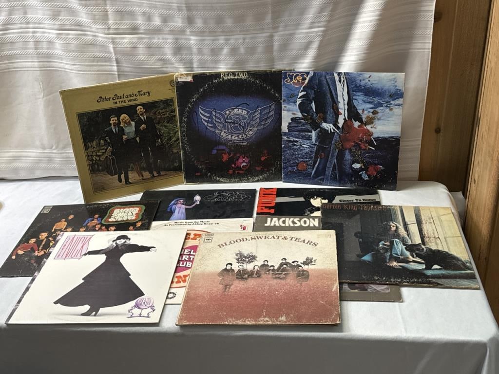 Vinyl Records (11 Total) (1 of 20)