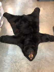 Bear Taxidermy Rug
