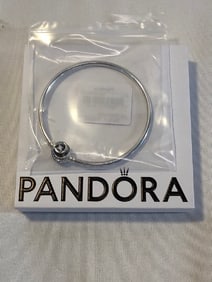 Sterling 925 Pandora Ale Encircled Clasp Bangle Bracelet