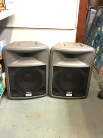 Pr. Peavey Pr12 Speakers