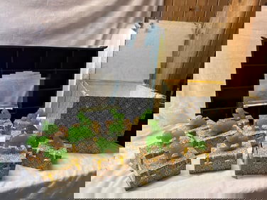 12 Guardians of the Ming Dynasty Jade Glass Figures with Asian Style Shelving Unit