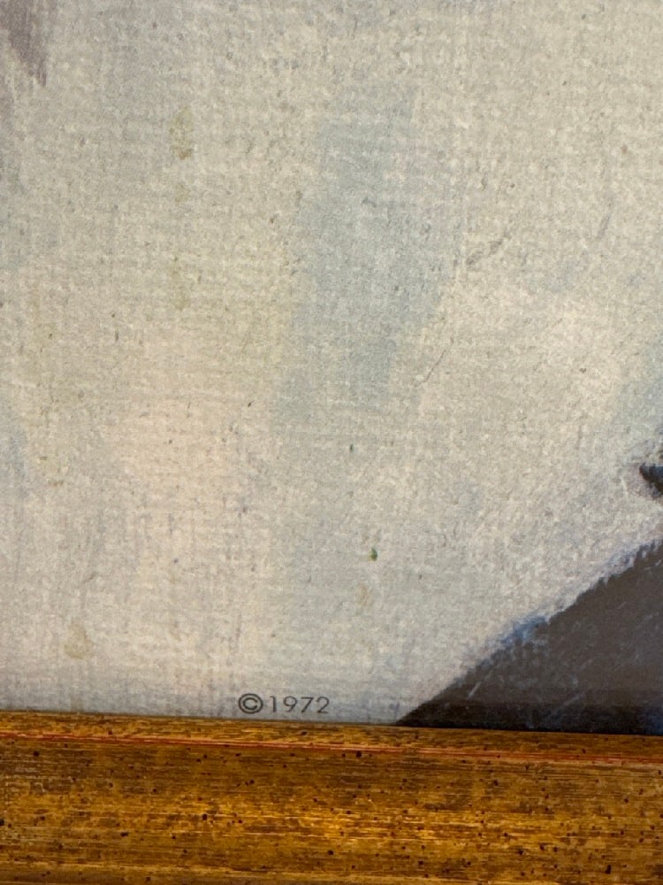 1972 Red Skeleton Framed Print - 3