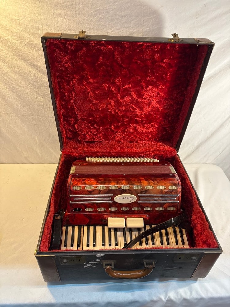 Camerano Piano Accordion (1 of 7)