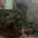 item-135756582=5