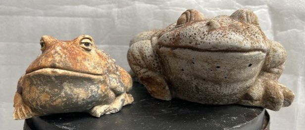 2  GARDEN OR PATIO  LARGE  CEMENT FROGS (1 of 6)