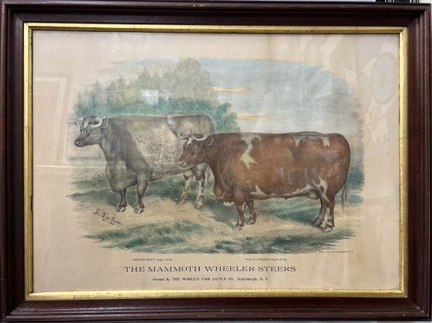VINTAGE ETCHING BY R. VAN DUSEN "THE MAMMOTH WHEELER STEERS"  32" X 24" (1 of 4)