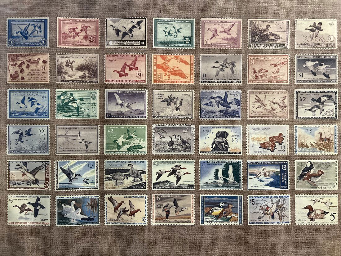 VINTAGE STAMP COLLECTION FRAMED FACE VALUE OF STAMPS $95 (1 of 2)