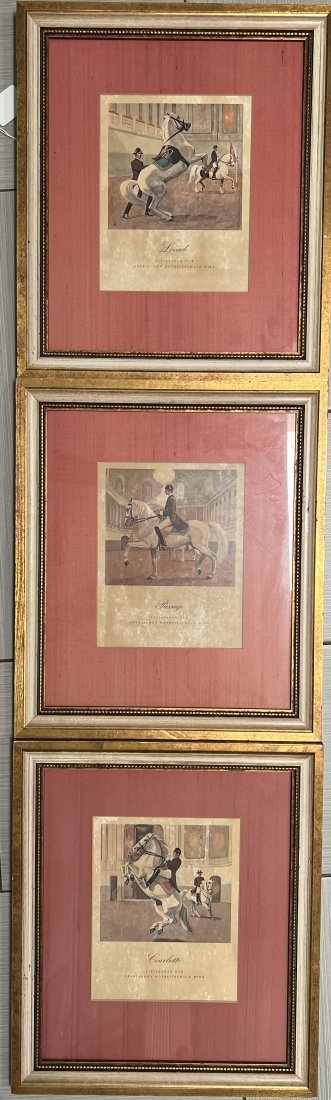 LOT OF 3 (THREE) VINTAGE ETCHINGS BY MAIER " LIPIZZANER HORSE" FRAMED UNDER GLASS (1 of 4)