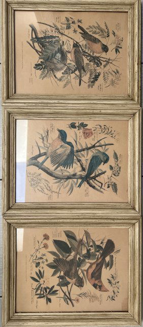 SET OF 3 ( THREE) AUTHUR SINGER SIGNED ETCHINGS FRAMED UNDER GLASS