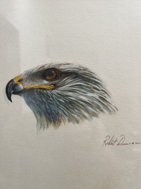 ROBERT DUNCAN " AMERICAN EAGLE" FRAMED UNDER GLASS