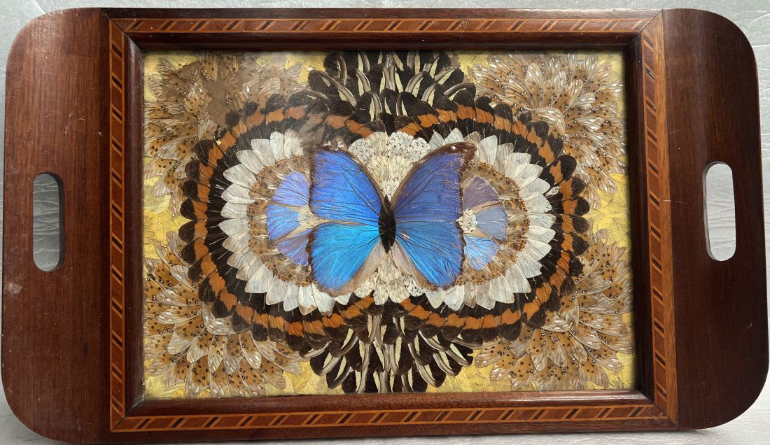 Vintage Deco Real Butterfly Wing Art Wood Inlaid Tray Iridescent Blue Brazil (1 of 3)